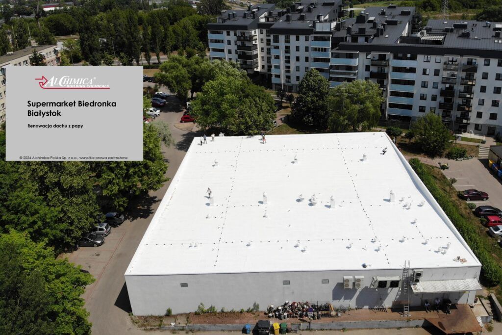 Flat roof renovation using liquid membranes (source: Alchimica)